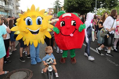 karneval 2025 prep 619 resize