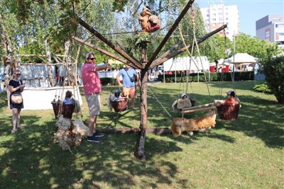 img 7721 resize