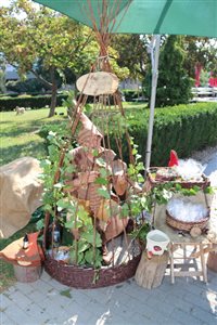 img 7726 resize