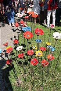 img 3449 resize