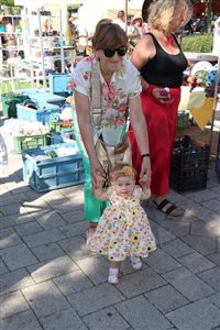 img 3460 resize