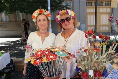img 3496 resize