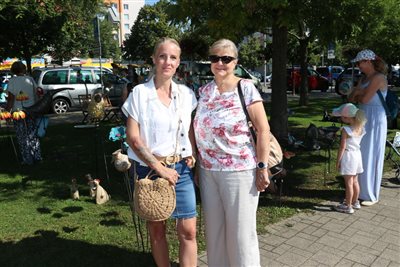 img 1759 resize
