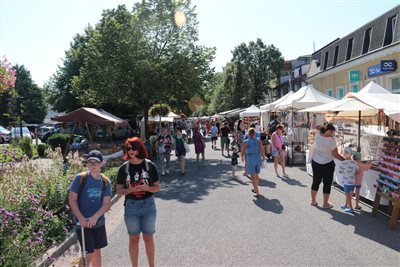 img 1808 resize