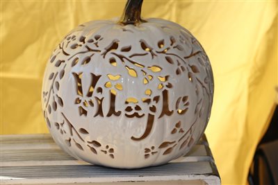 img 1831 resize