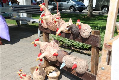img 1857 resize