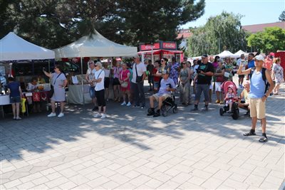 img 1866 resize