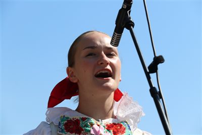 img 4955 resize
