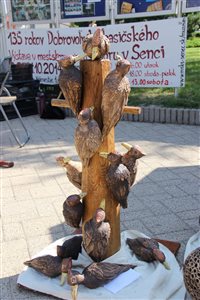 img 4072 resize