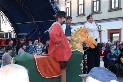 img 9556 resize