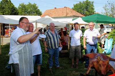 img 8624 resize