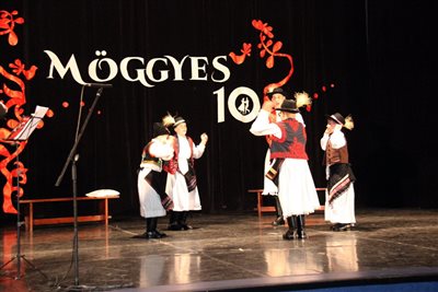 img 2582 resize