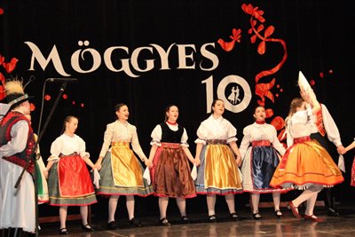 img 2588 resize