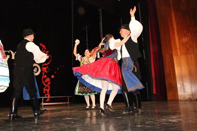 img 2764 resize