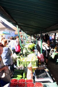img 6573 resize