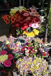 img 9352 resize