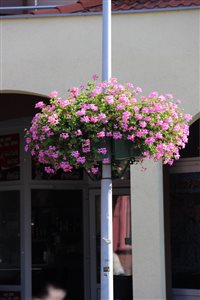 img 9355 resize