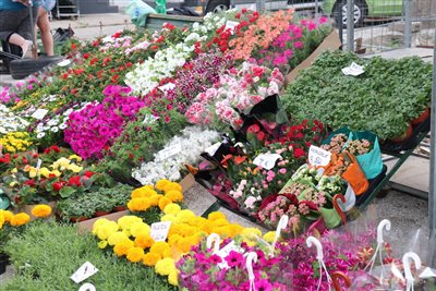 img 0958 resize