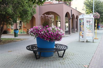 img 4769 resize