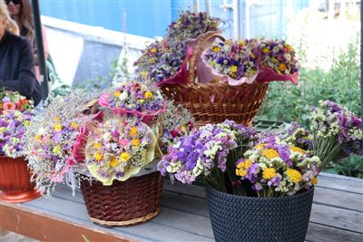 img 4779 resize