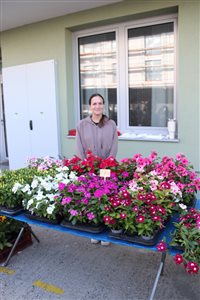 img 4780 resize