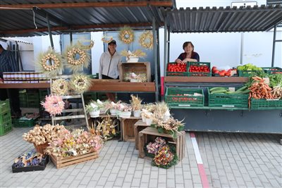 img 4786 resize