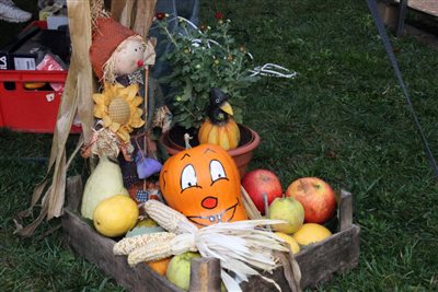 img 1171 resize