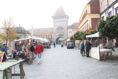 img 1179 resize