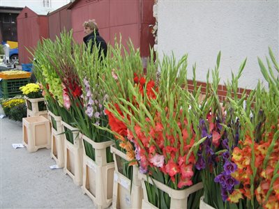 IMG 9104 resize