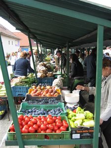 IMG 9107 resize