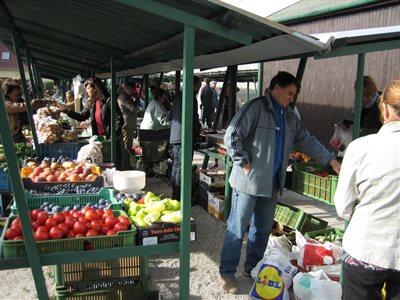 IMG 9115 resize