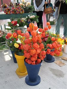 IMG 9118 resize