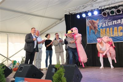 img 8734 resize