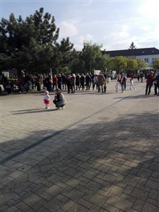 img 20170501 171626 resize