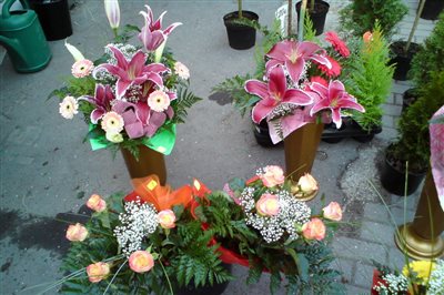 DSC00092 resize