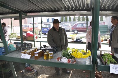 IMG 1456 resize