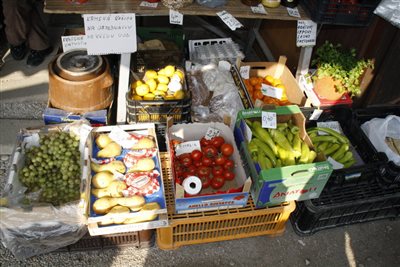 IMG 1469 resize