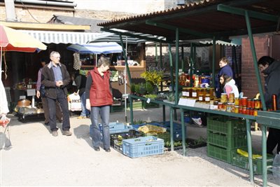 IMG 1473 resize