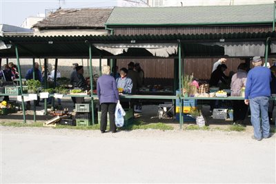 IMG 1474 resize