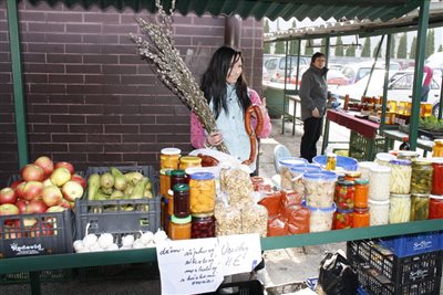 IMG 1478 resize