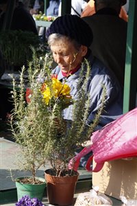 IMG 1482 resize
