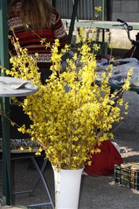 IMG 1485 resize