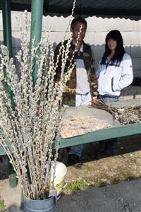 IMG 1486 resize
