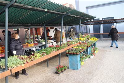 img 0246 resize