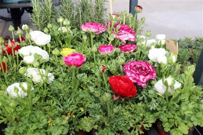 img 0248 resize