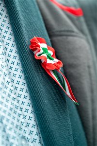 marcius15 megemlékezés 20