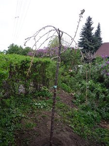 P1070058