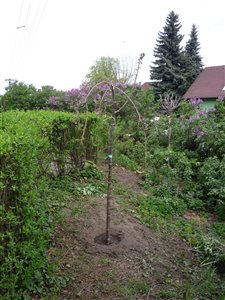 P1070101