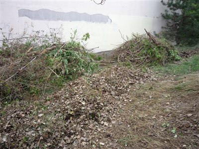 P1070149