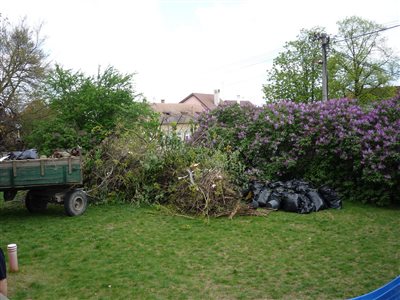 P1070164